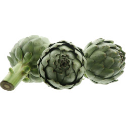 ARTICHAUT CAMUS 12PCS